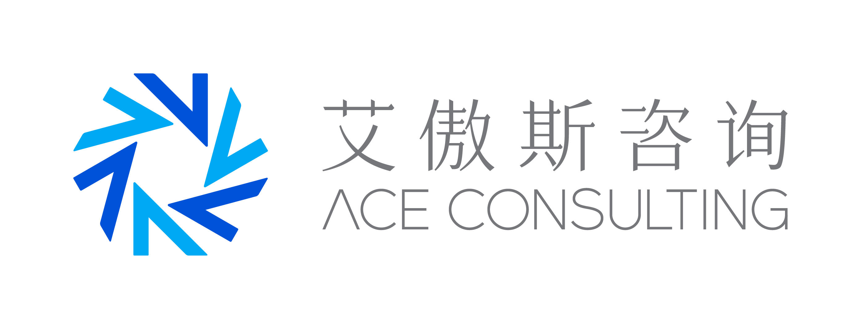 ACE Logo_Horizontal Version.png